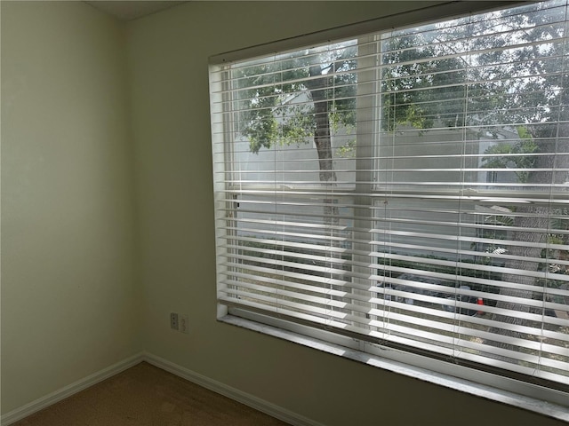 6405 Osprey Lake Cir, Riverview, FL 33578 - interior details with baseboards and carpet floors