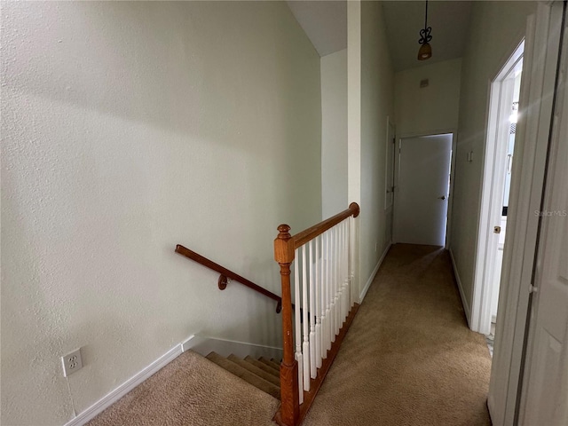 6405 Osprey Lake Cir, Riverview, FL 33578 - stairway featuring carpet flooring and baseboards