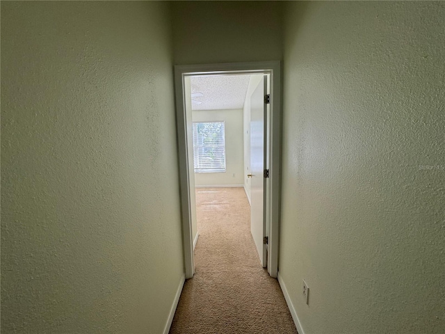 6405 Osprey Lake Cir, Riverview, FL 33578 - hall featuring a textured wall, light colored carpet, and baseboards