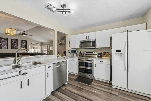 518 Royal Ridge St, Valrico, FL 33594 - kitchen with lofted ceiling, dark wood-style floors, light countertops, a sink, and appliances with stainless steel finishes