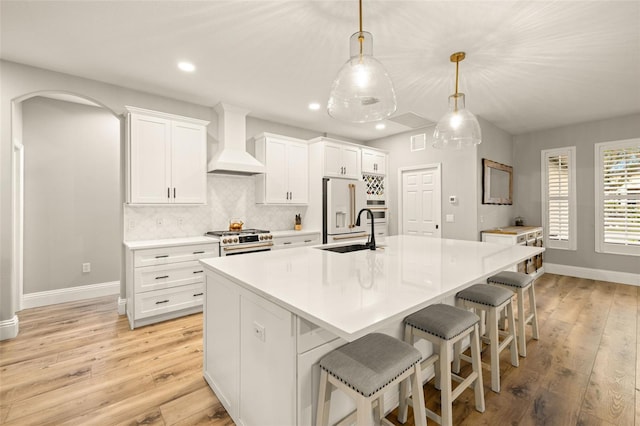 kitchen featuring a sink, baseboards, custom exhaust hood, and high quality appliances