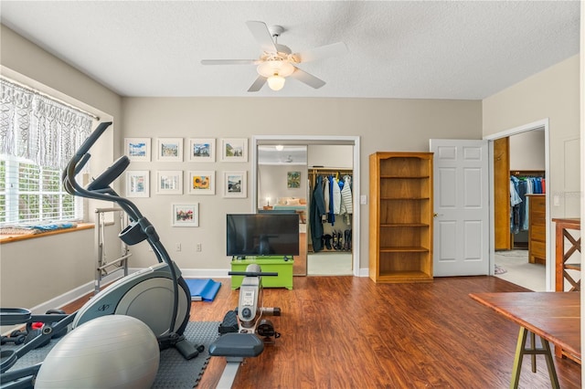 1750 Arabian Ln, Palm Harbor, FL 34685 - workout area featuring wood finished floors, ceiling fan, baseboards, and a textured ceiling
