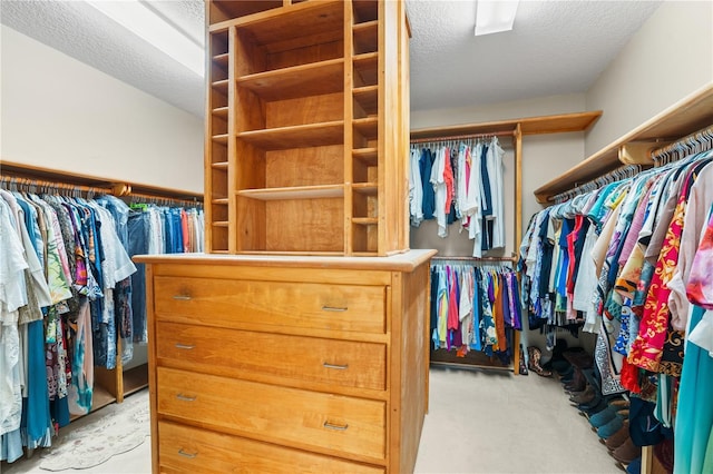 1750 Arabian Ln, Palm Harbor, FL 34685 - walk in closet with carpet flooring