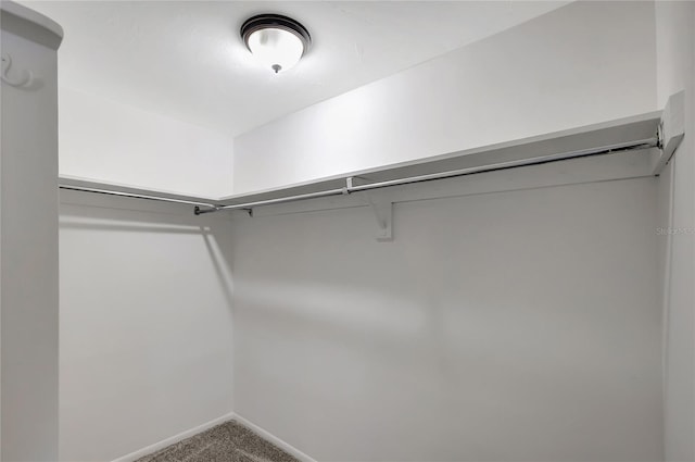 1516 Roundtree Rd, Holiday, FL 34690 - spacious closet featuring carpet floors