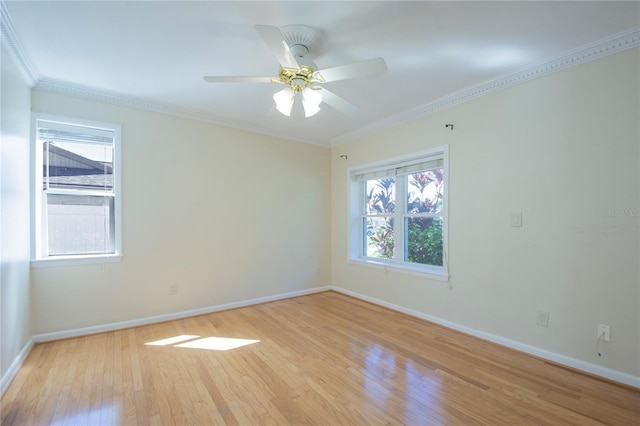 2675 Firestone Dr, Clearwater, FL 33761 - photo 52