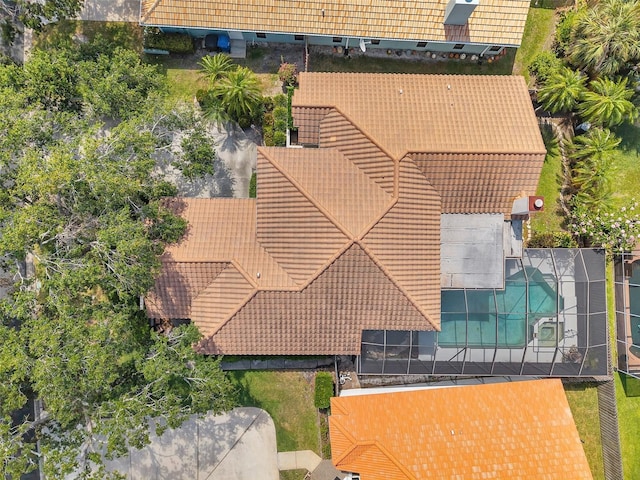 drone / aerial view