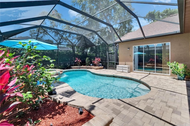 pool featuring a patio and a lanai