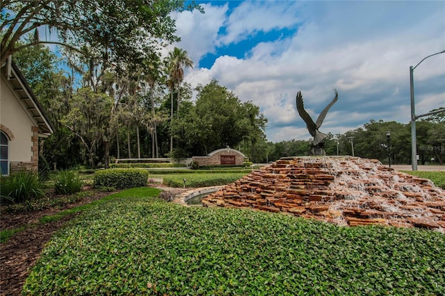 15724 Ibisridge Dr, Lithia, FL 33547 - view of yard