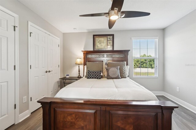 5477 Wayfarer Ave, Apollo Beach, FL 33572 - bedroom with dark wood-style floors, baseboards, a ceiling fan, and a closet
