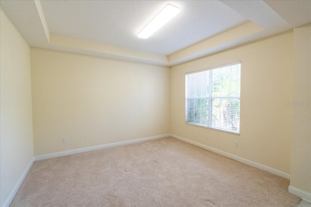 16637 Ashton Green Dr, Lutz, FL 33558 - spare room featuring baseboards, light carpet, and a raised ceiling
