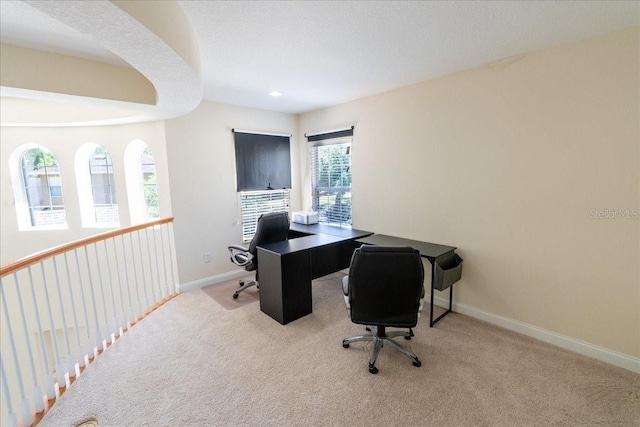 16637 Ashton Green Dr, Lutz, FL 33558 - office featuring baseboards and carpet