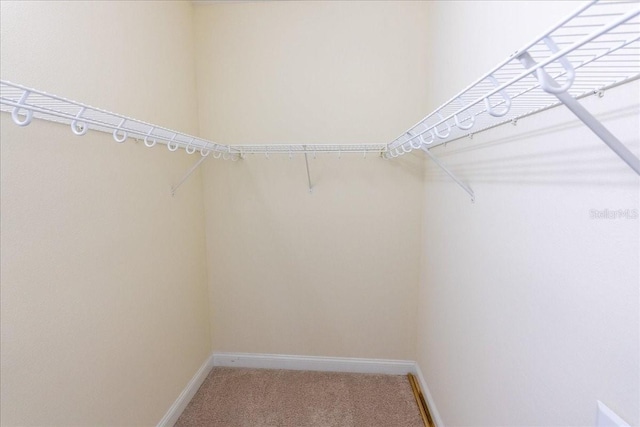 16637 Ashton Green Dr, Lutz, FL 33558 - spacious closet featuring light carpet