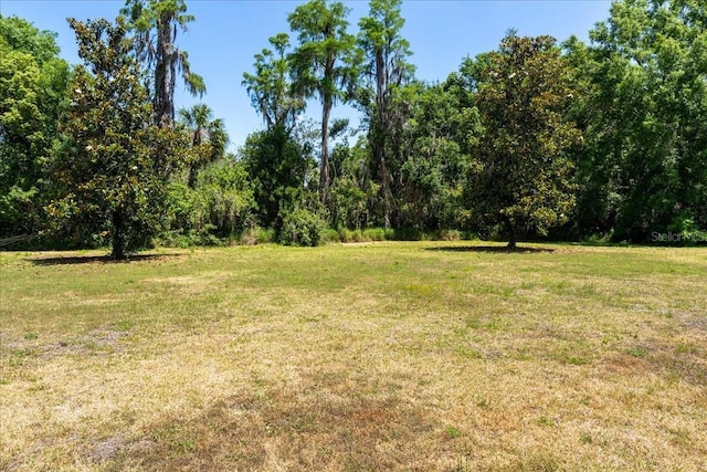 16637 Ashton Green Dr, Lutz, FL 33558 - view of nature
