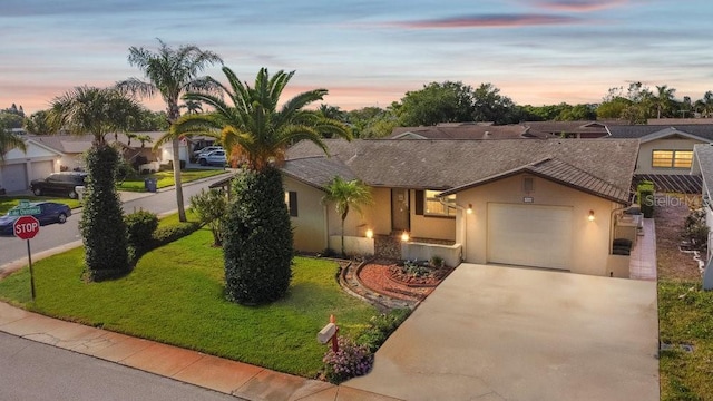 7534 Culberson Dr, Port Richey, FL 34668 - ranch-style home featuring stucco siding, an attached garage, driveway, and a front lawn