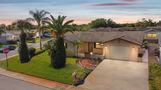 7534 Culberson Dr, Port Richey, FL 34668 - ranch-style house featuring a lawn, stucco siding, an attached garage, and driveway
