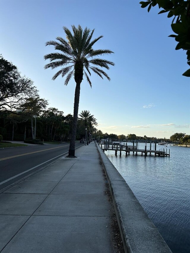 246 22nd Ave NE, Saint Petersburg, FL 33704 - photo 33