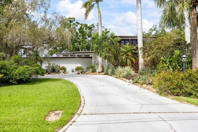 3130 Walnut St NE, Saint Petersburg, FL 33704 - photo 2