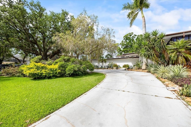 3130 Walnut St NE, Saint Petersburg, FL 33704 - photo 61
