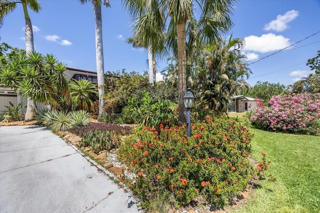 3130 Walnut St NE, Saint Petersburg, FL 33704 - photo 71