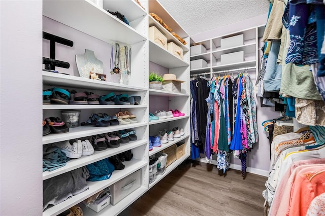 1281 Pine Ridge Cir E Unit H1, Tarpon Springs, FL 34688 - spacious closet featuring wood finished floors