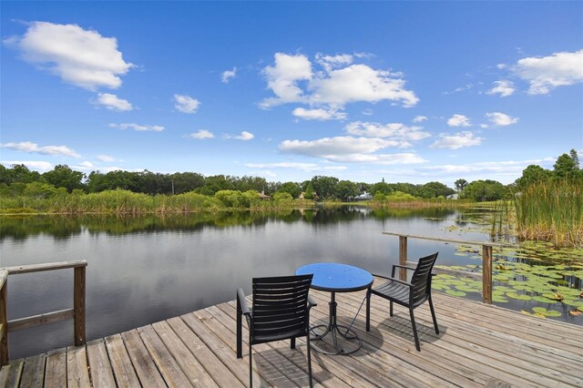 1703 Ryan Dr, Lutz, FL 33549
