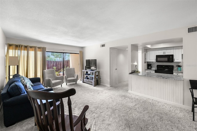 710 N Village Dr N Unit 102, Saint Petersburg, FL 33716 - living area featuring light colored carpet, a textured ceiling, and baseboards