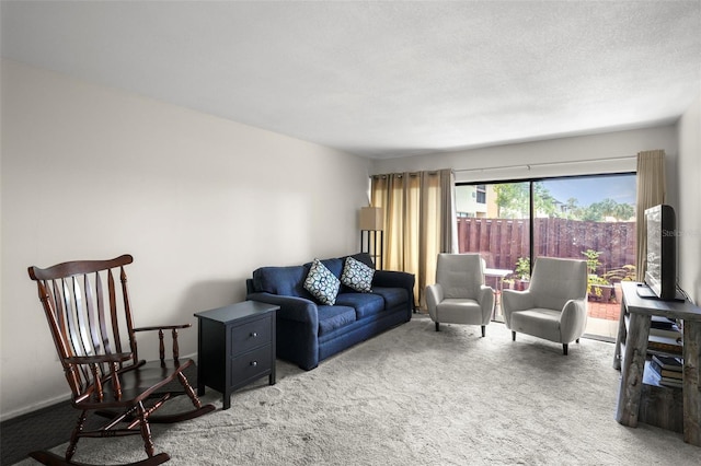 710 N Village Dr N Unit 102, Saint Petersburg, FL 33716 - view of carpeted living room