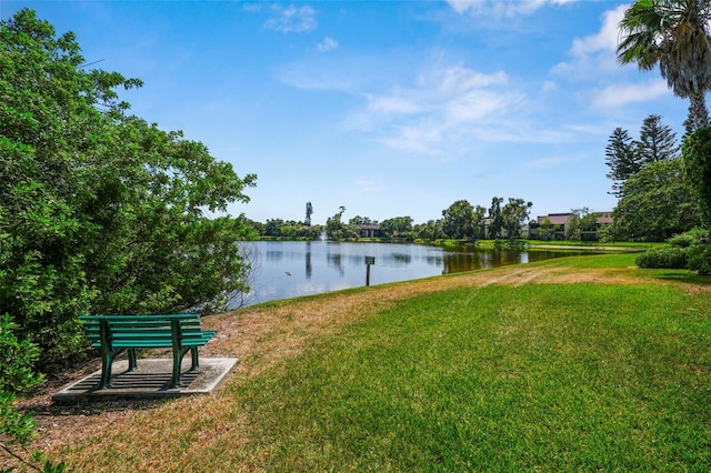 710 N Village Dr N Unit 102, Saint Petersburg, FL 33716 - water view