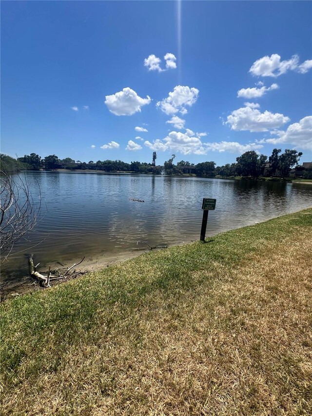 710 N Village Dr N Unit 102, Saint Petersburg, FL 33716 - water view