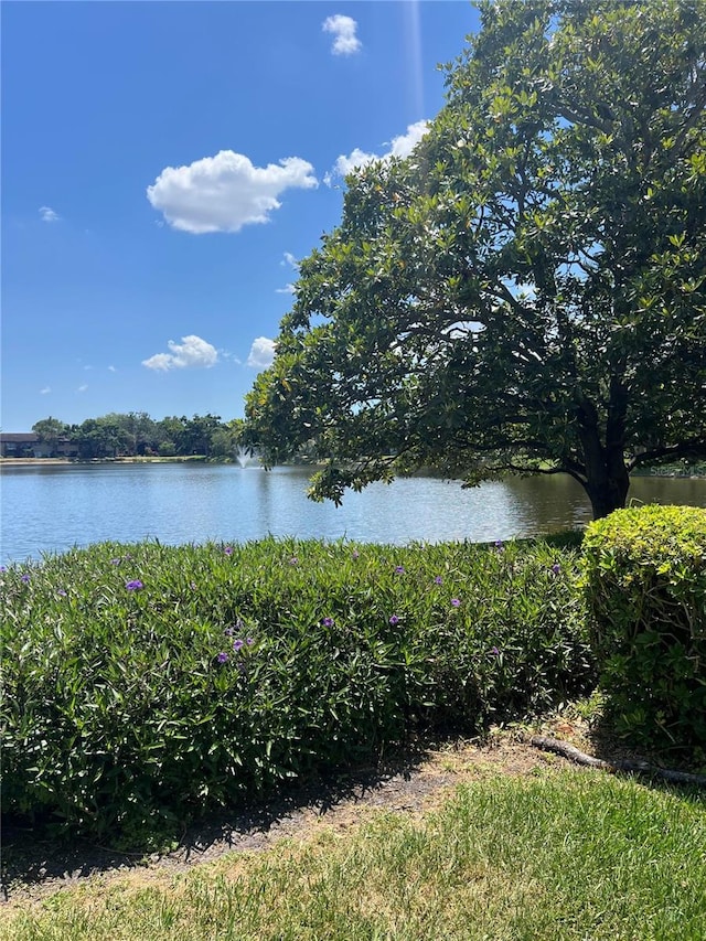 710 N Village Dr N Unit 102, Saint Petersburg, FL 33716 - water view
