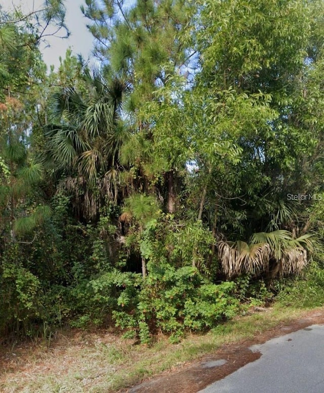 12339 Cognac Dr, Punta Gorda, FL 33955