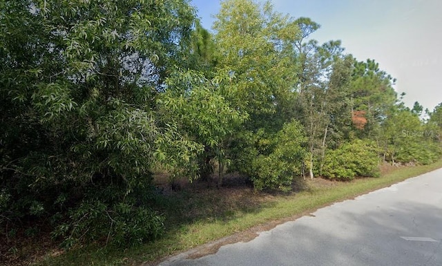 12339 Cognac Dr, Punta Gorda, FL 33955