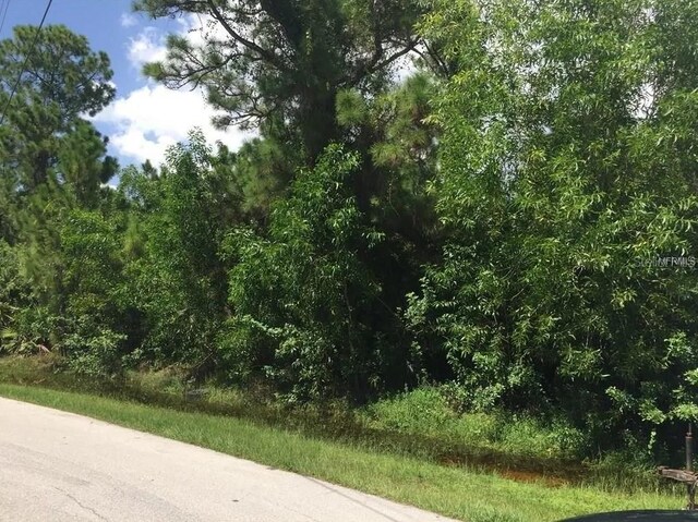 12339 Cognac Dr, Punta Gorda, FL 33955