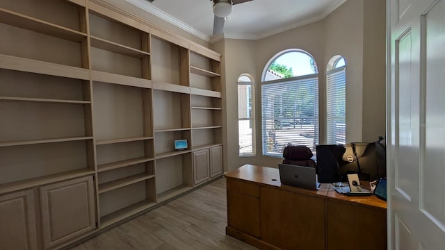 4872 Silverthorne Ct, Oldsmar, FL 34677 - office space with ornamental molding, light wood-style floors, and a ceiling fan