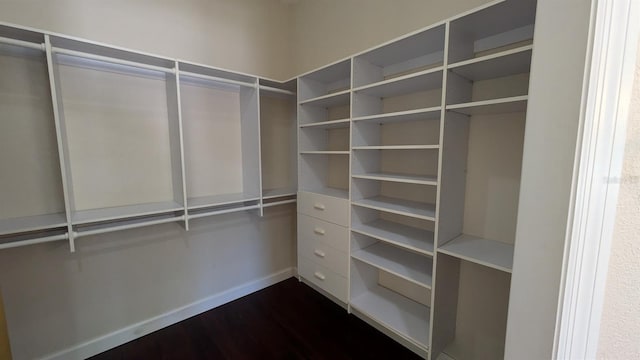 4872 Silverthorne Ct, Oldsmar, FL 34677 - walk in closet with dark wood-type flooring