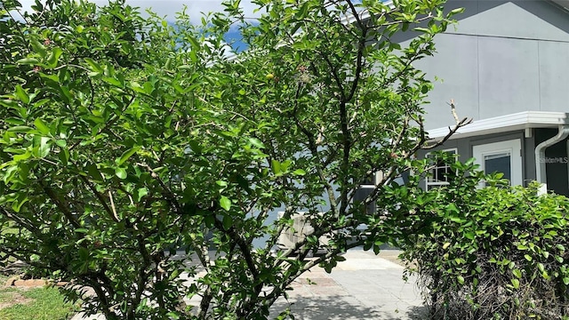 exterior space