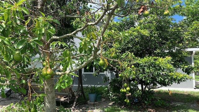 view of side of property