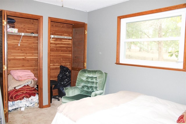 16536 Caldwell Ln, Spring Hill, FL 34610 - carpeted bedroom with multiple closets