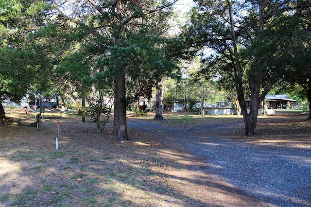 16536 Caldwell Ln, Spring Hill, FL 34610 - view of yard