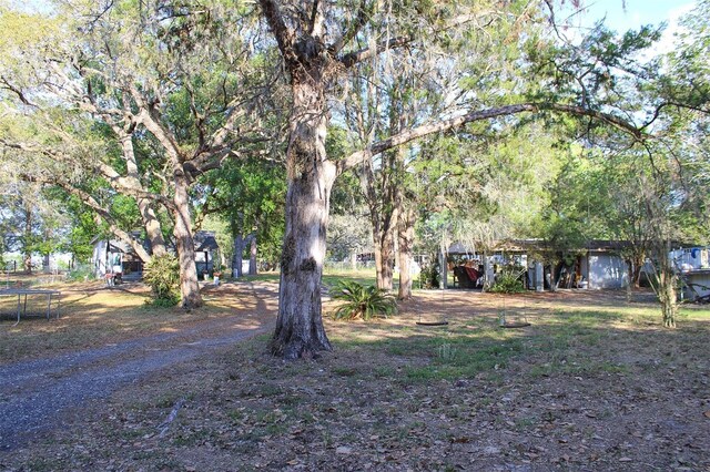 16536 Caldwell Ln, Spring Hill, FL 34610 - view of yard