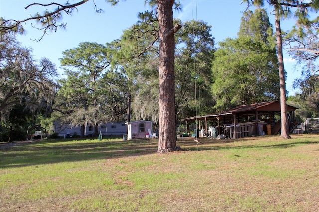 16536 Caldwell Ln, Spring Hill, FL 34610 - view of yard