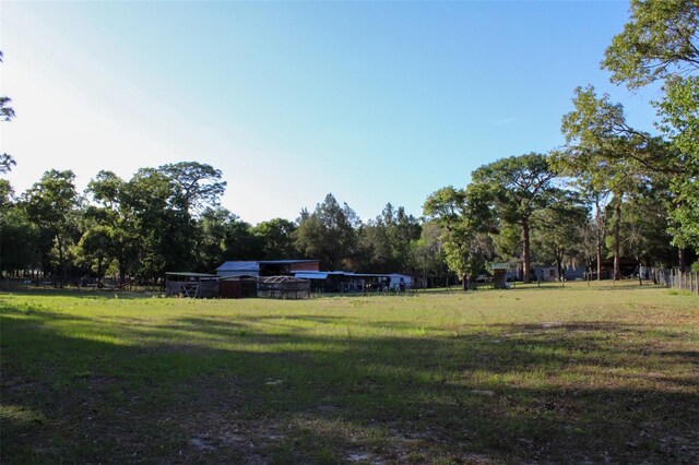 16536 Caldwell Ln, Spring Hill, FL 34610 - view of yard