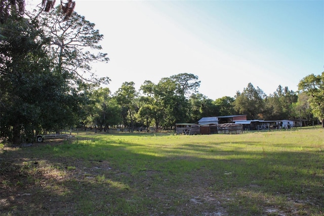 16536 Caldwell Ln, Spring Hill, FL 34610 - view of yard