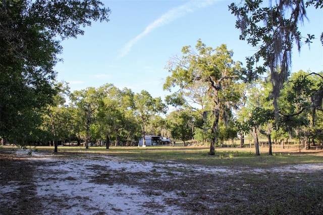 16536 Caldwell Ln, Spring Hill, FL 34610 - view of yard