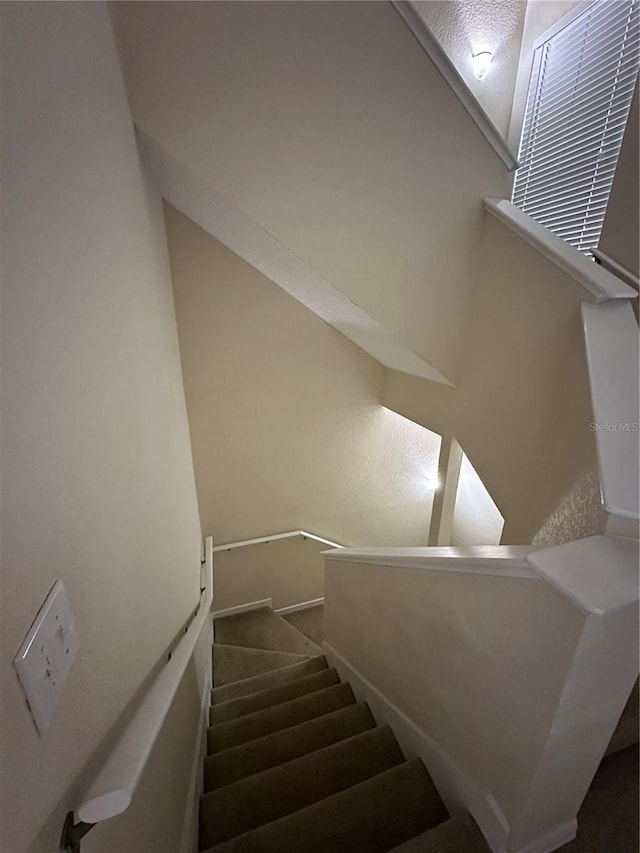 3260 Haviland Ct Unit 202, Palm Harbor, FL 34684 - stairs with baseboards and carpet flooring