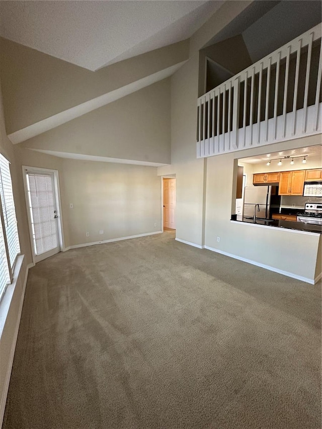 3260 Haviland Ct Unit 202, Palm Harbor, FL 34684 - unfurnished living room featuring carpet floors, a sink, baseboards, and high vaulted ceiling