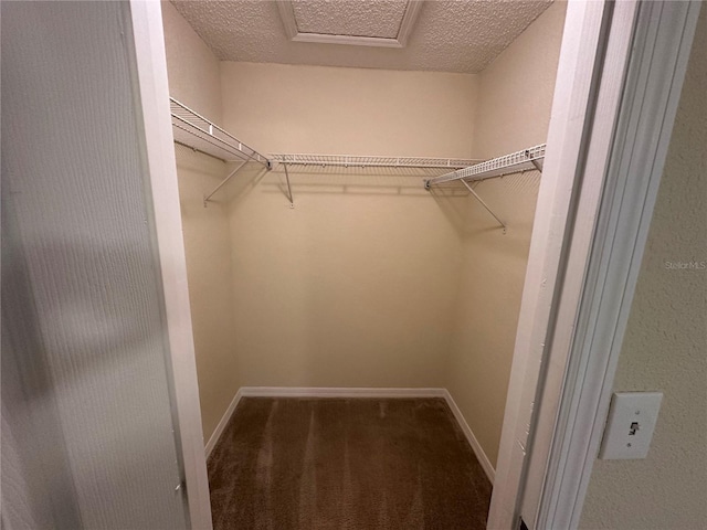 3260 Haviland Ct Unit 202, Palm Harbor, FL 34684 - spacious closet with carpet floors