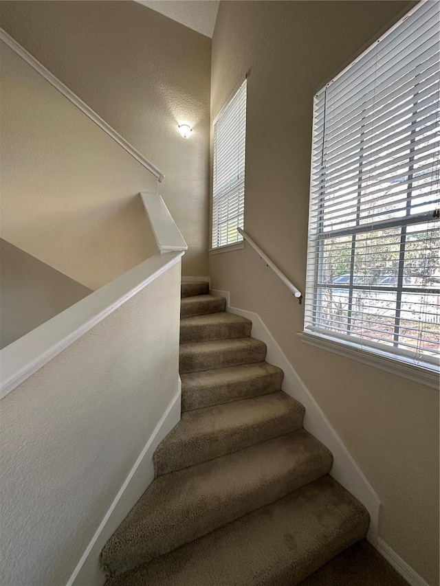 3260 Haviland Ct Unit 202, Palm Harbor, FL 34684 - view of stairway