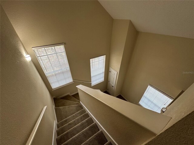 3260 Haviland Ct Unit 202, Palm Harbor, FL 34684 - staircase featuring carpet and a textured wall