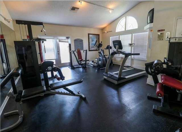 3260 Haviland Ct Unit 202, Palm Harbor, FL 34684 - gym with visible vents, a textured ceiling, baseboards, and vaulted ceiling